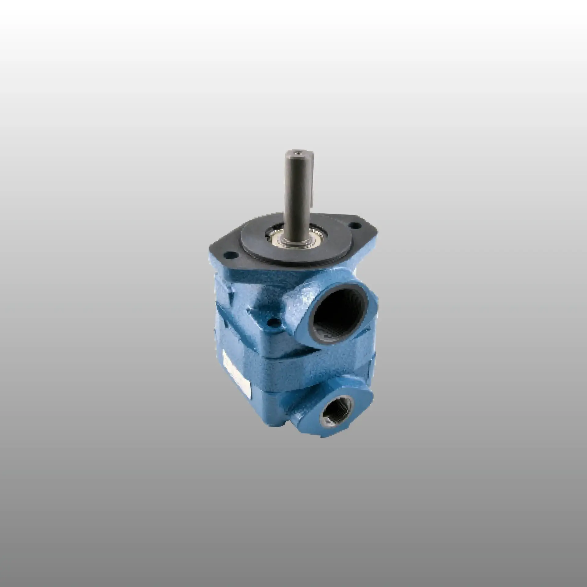 SABİT DEBİLİ PALETLİ POMPA V20