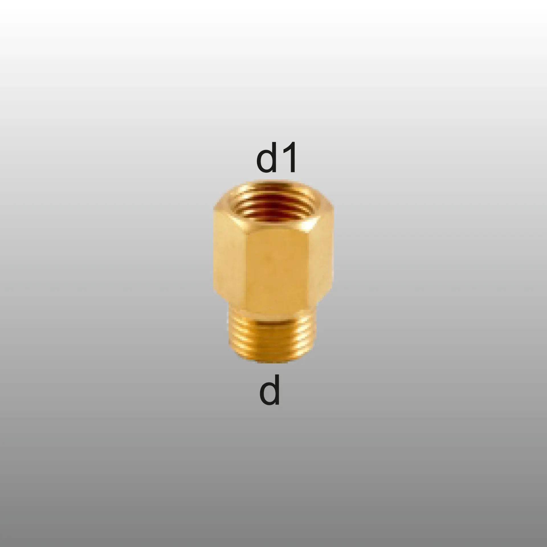 M10x1 / M10x1 NPT DİŞ LÜLE
