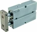 16X50 TN SERİSİ ÇİFT MİLLİ MANYETİK PİSTON